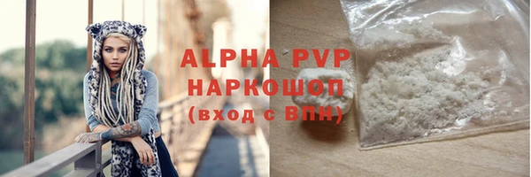 PSILOCYBIN Бородино