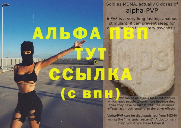 PSILOCYBIN Бородино